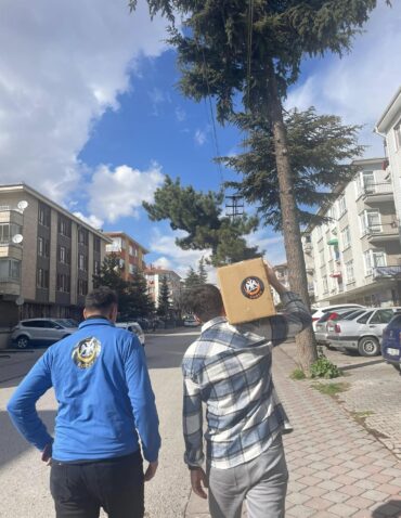 Sogev